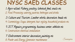 List of some of the NYSC SAED Classes.